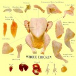 chicken parts