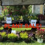 Plant Sale 3.5