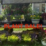 Plant Sale 4.5