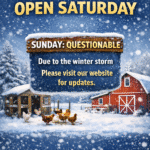 Winter Saturday Open